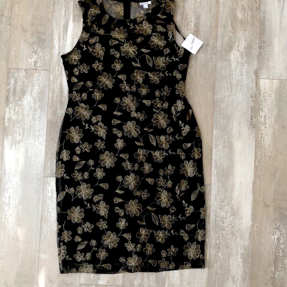 New olivia matthews black mesh midi dress